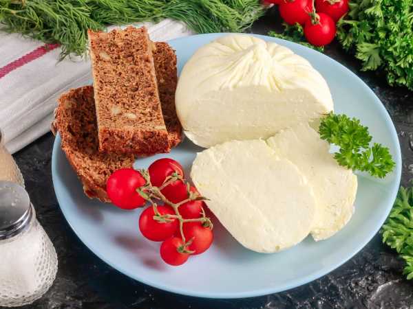 Адыгейский сыр из козьего молока — рецепт с фото пошагово