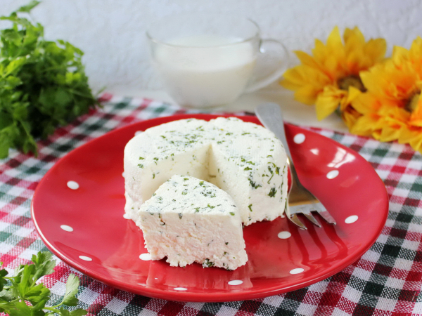 По вкусу прям как у бабушек на рынке: рецепт домашнего сыра из молока и лимона