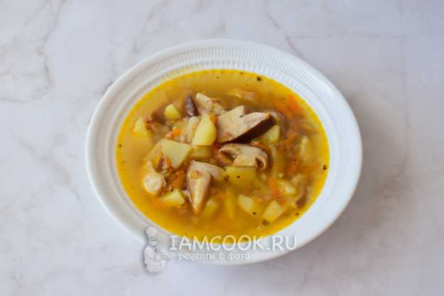 Гречневый суп с грибами – простой рецепт — Шуба