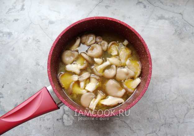 Рецепты грибных супов с рыбой и овощами
