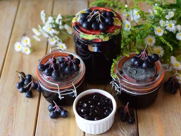 Варенье из черноплодной рябины, пошаговый рецепт на 0 ккал, фото, ингредиенты - Элеонора