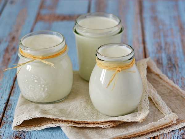 Технология приготовления йогурта на производстве и в домашних условиях