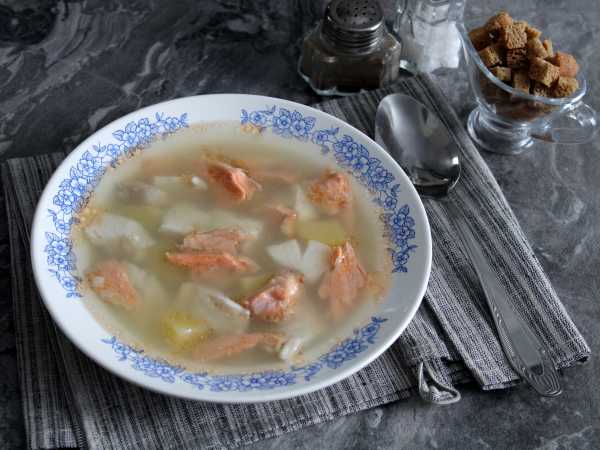 Суп из головы форели: простой и вкусный рецепт