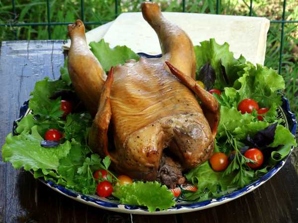Рецепт приготовления курицы в коптильне | Рецепты и интересные статьи от УЗБИ