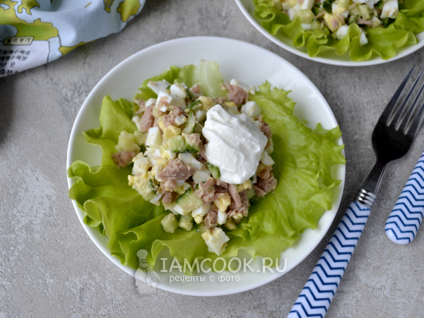 Белковый салат с тунцом, рецепт с фото