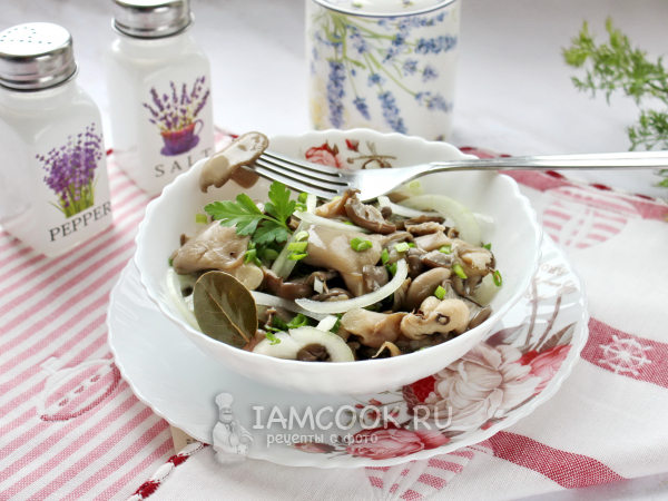 Салаты с грибами вешенками: фото, рецепты салатов с маринованными, жареными и солеными вешенками