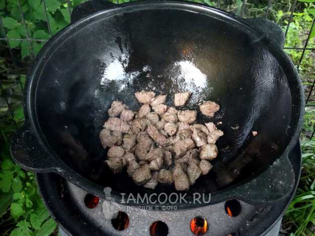 Лагман на костре - простой и вкусный рецепт с пошаговыми фото