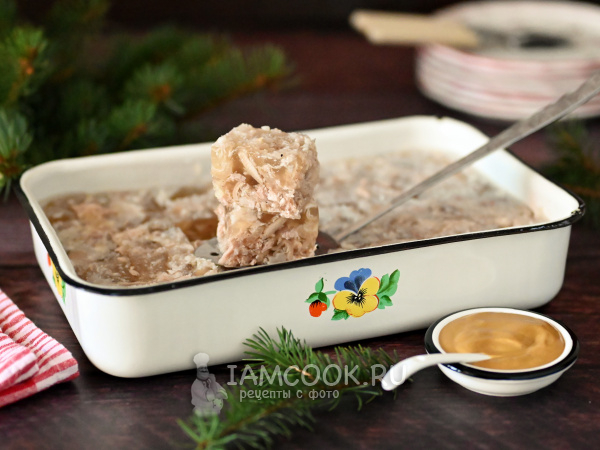 Холодец свиной домашний (из ножек и мяса), рецепт с фото