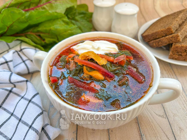 Горячая ботвинья с мясом (классический рецепт), рецепт с фото