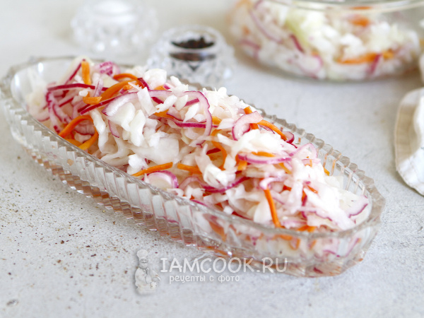 Салат из квашеной капусты с луком, рецепт с фото