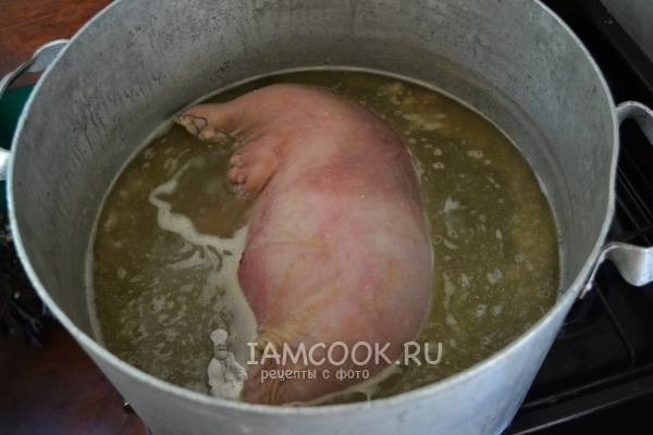 Как приготовить свиной желудок в домашних условиях? | LS