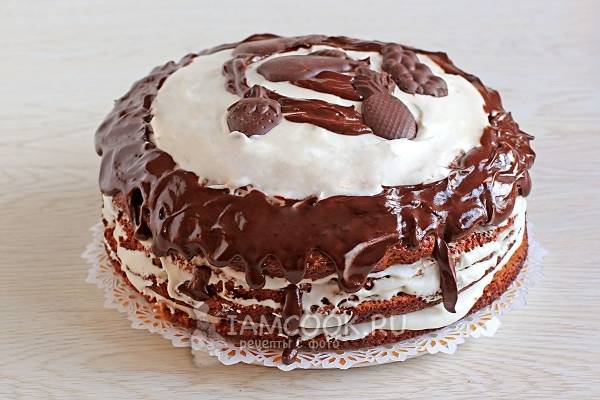 Торт “Трухлявый пень” – классический рецепт