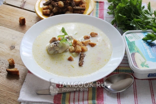 Фото сырного супа по-французски с курицей