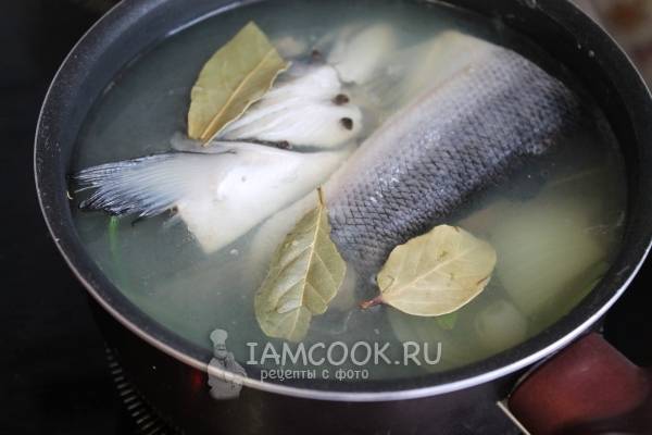 Рецепт праздничной закуски — заливное из семги - Кулинарные рецепты любящей жены