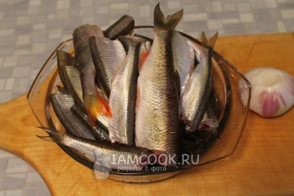 Селедка из речной рыбы: приготовьте к жареной картошечке