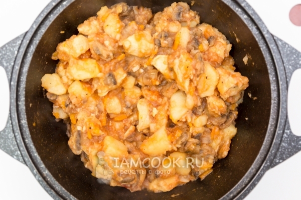 Рецепт тушёной картошки с курицей и грибами