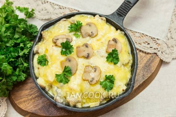 Жульен без выпечки: простой рецепт популярного блюда с курицей и грибами