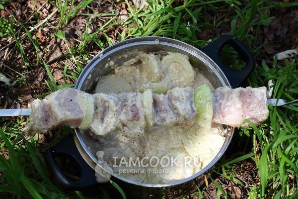 Рецепт маринада для шашлыка из свинины с майонезом и луком - Лайфхакер