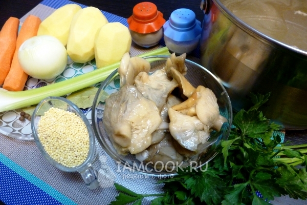 Ингредиенты для грибного супа из соленых грибов