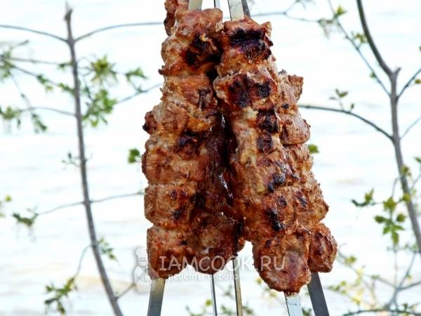 Мясо на природе – 53 рецепта с фото, готовим Мясо на природе пошагово, ингредиенты