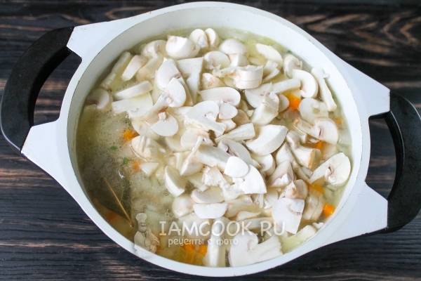 Грибной суп из свежих грибов — самые вкусные рецепты