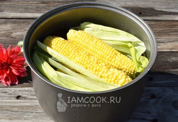 Салат из кукурузы. Простые рецепты с фото пошагово