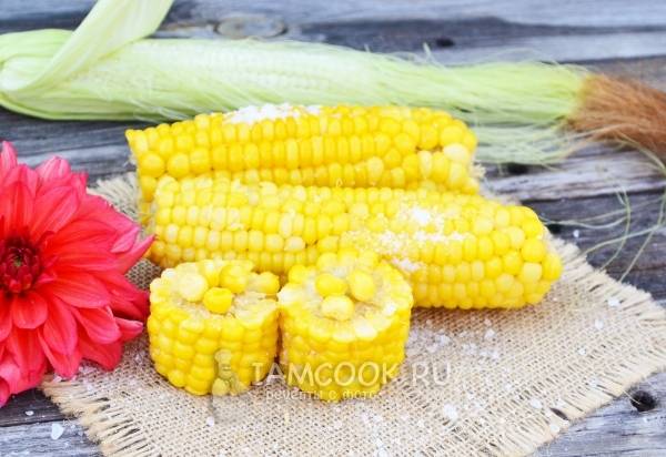 Кукуруза в початках в мультиварке - рецепт от Гранд кулинара