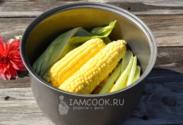 Как сварить кукурузу в початках в мультиварке - рецепт с фото