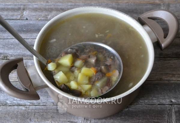 Особенности приготовления супа на основе подберезовиков