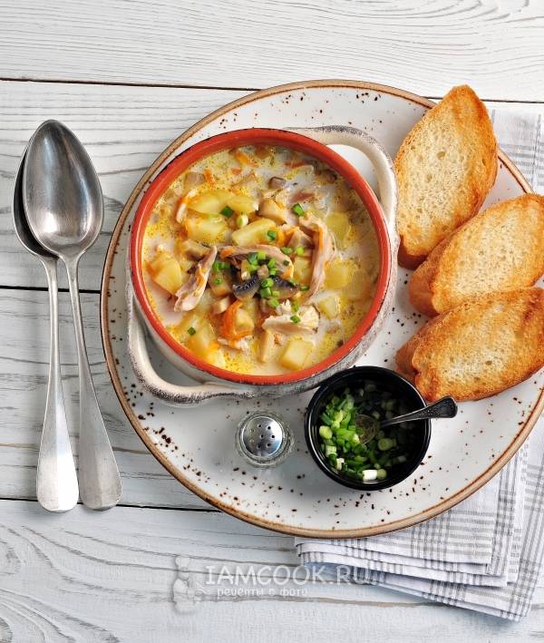 Сырный суп с курицей и грибами - пошаговый рецепт с фото на апекс124.рф