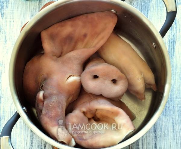 Холодец из свиной головы — рецепт с фото. Как варить холодец из свиной головы?