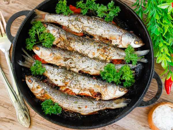 Запеченная кефаль - как приготовить рыбу в духовке — Шуба