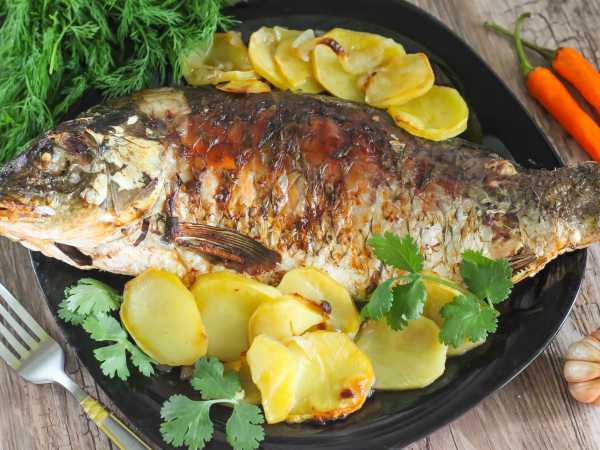 Рыба с картошкой в духовке — рецепт с фото пошагово