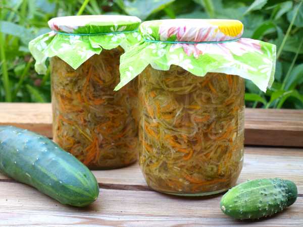Салат из огурцов на зиму – пошаговый рецепт приготовления с фото
