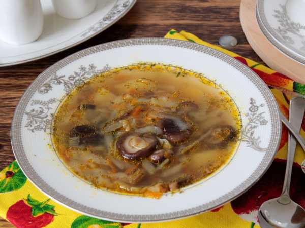 Рецепт приготовления супа из замороженных грибов