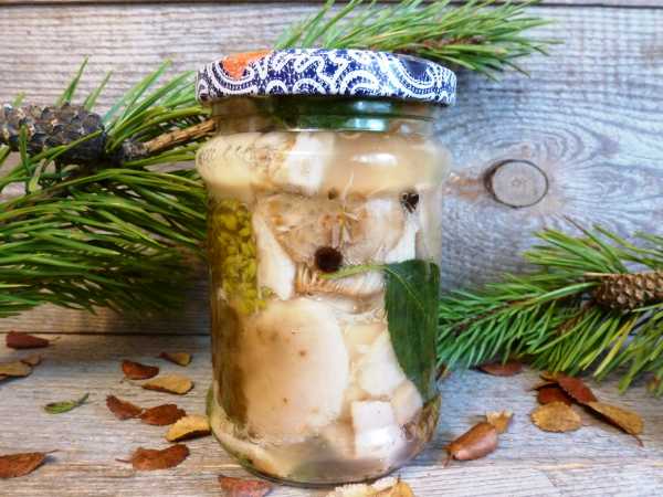 Соление грибов — 9 рецептов с фото пошагово. Как солить грибы на зиму в банках?
