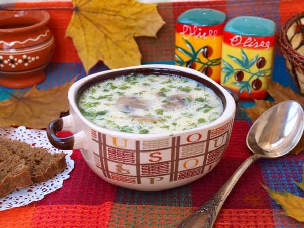 Сырный суп с шампиньонами, пошаговый рецепт на ккал, фото, ингредиенты - Галина