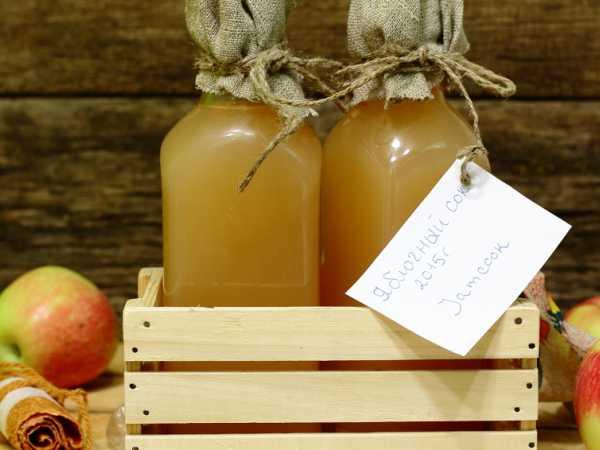 15 простых рецептов яблочного сока на зиму