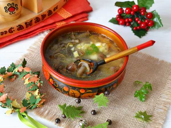 Грибной суп из замороженных опят: рецепты с фото