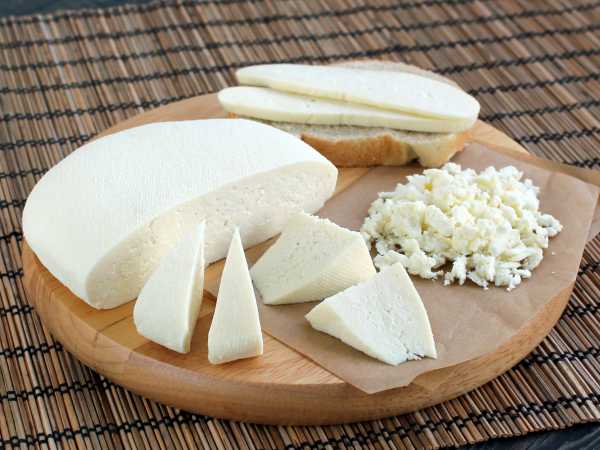 Как сделать сыр из козьего молока: описание простого рецепта
