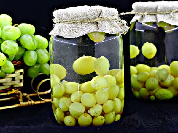 Виноград на зиму: 27 рецептов заготовок » Сусеки