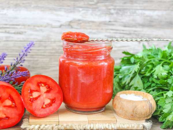 Рецепт домашней томатной пасты из свежих помидор на зиму: просто и вкусно