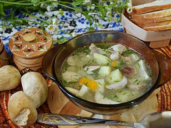 Суп из свежих белых грибов, пошаговый рецепт с фото