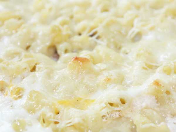 Запеканка со спагетти и мясной прослойкой рецепт – Европейская кухня: Основные блюда. «Еда»
