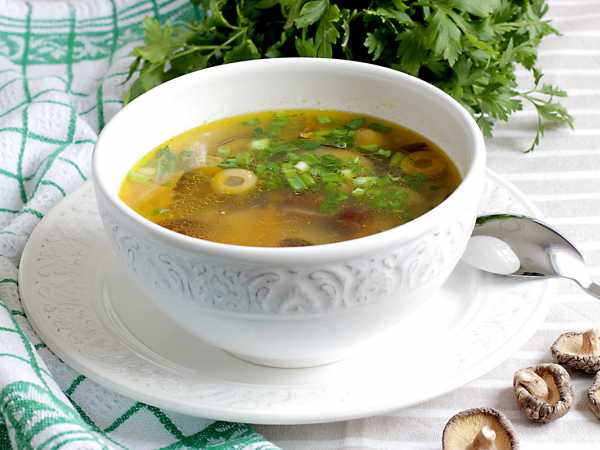 Суп из белых грибов, 3 рецепта приготовления из свежих, сушеных и замороженных грибов
