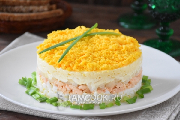Фото салата «Мимоза» с сыром