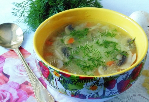 Фото супа с индейкой и грибами