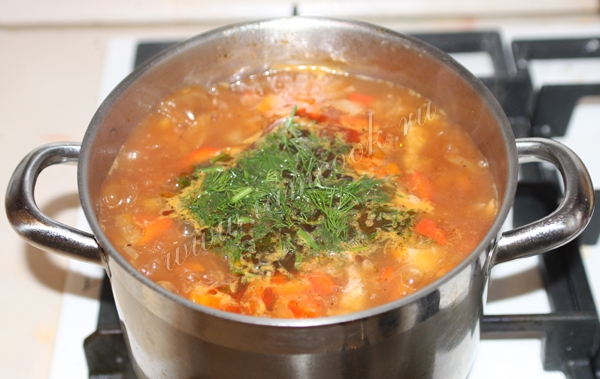 готовим суп из индюшки