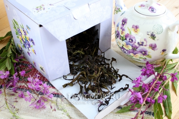 Фото крупнолистового ферментированного иван-чая