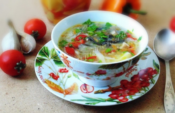 Фото супа из овощей и грибов